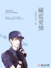 藏蓝爱情封面