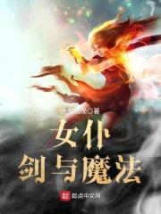 女仆，剑与魔法封面