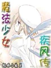 魔法少女疾风传封面