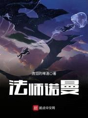 法师诺曼封面