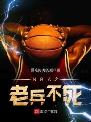 NBA之老兵不死封面