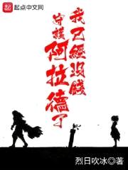 我已经没钱守护阿拉德了封面