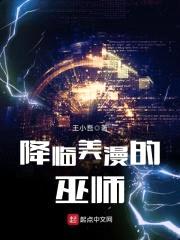 降临美漫的巫师封面