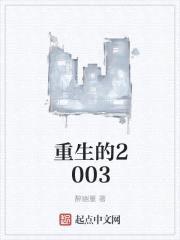 重生的2003封面