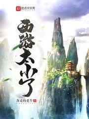 西游太小了封面