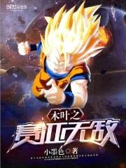木叶之赛亚无敌封面