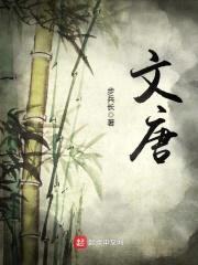 文唐封面