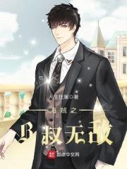 海贼之B叔无敌封面