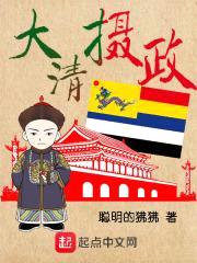大清摄政封面