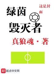 绿茵毁灭者封面
