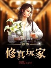 都市修真玩家封面