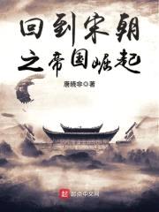 回到宋朝之帝国崛起封面