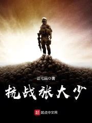 抗战张大少封面