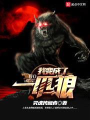 我变成了一匹狼封面