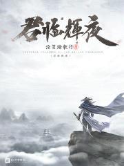 君临辉夜封面
