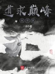 道求巅峰永不休封面