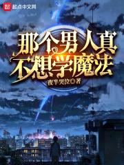 那个男人真不想学魔法封面