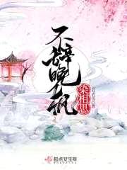不辞晚枫染相思封面