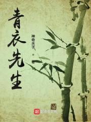 青衣先生封面