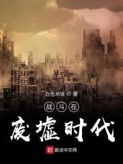 战斗在废墟时代封面