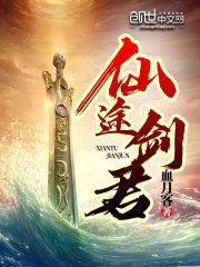 仙途剑君封面