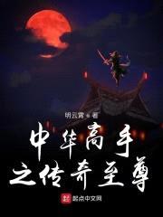 中华高手之传奇至尊封面