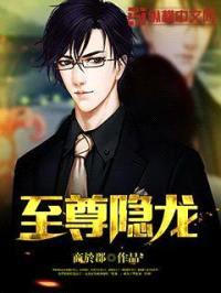 至尊隐龙封面