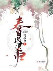 春日迟迟归封面