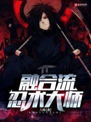 融合流忍术大师封面