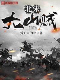 北宋大山贼封面