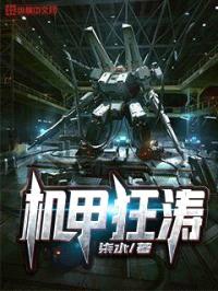 机甲狂涛封面