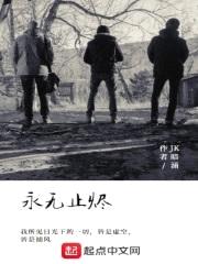 永无止烬封面