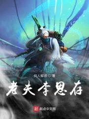 老夫李思存封面