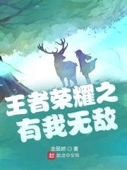 王者荣耀之有我无敌封面