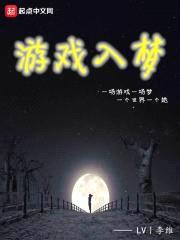 游戏入梦封面