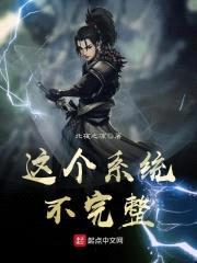这个系统不完整封面