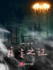 虚妄之证封面