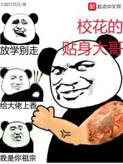 校花的贴身大哥封面