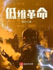 低维革命封面