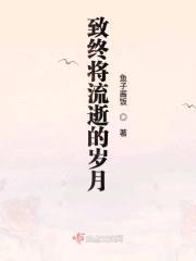 致终将流逝的岁月封面