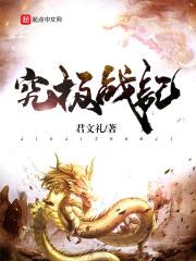 究极战记封面