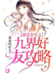 霹雳金光之九界好友攻略封面