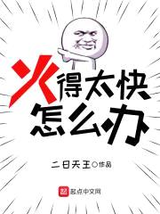 火得太快怎么办封面