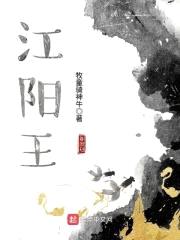 江阳王封面