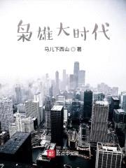枭雄大时代封面