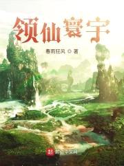 领仙寰宇封面