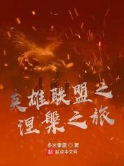 英雄联盟之涅槃之旅封面