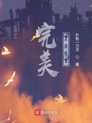 完美2001封面