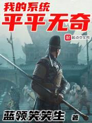 我的系统平平无奇封面