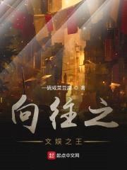 向往之文娱之王封面